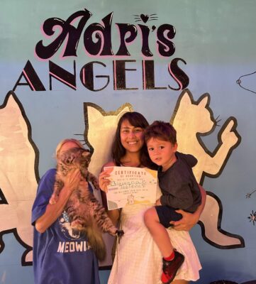 Adri_s Angeles Cat Adoption - Diner 50 1