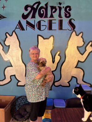 Adri_s Angeles Cat Adoption - Diner 50 4