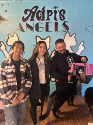 Adri_s Angeles Cat Adoption - Diner 50 5
