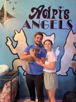 Adri_s Angeles Cat Adoption - Diner 50 9